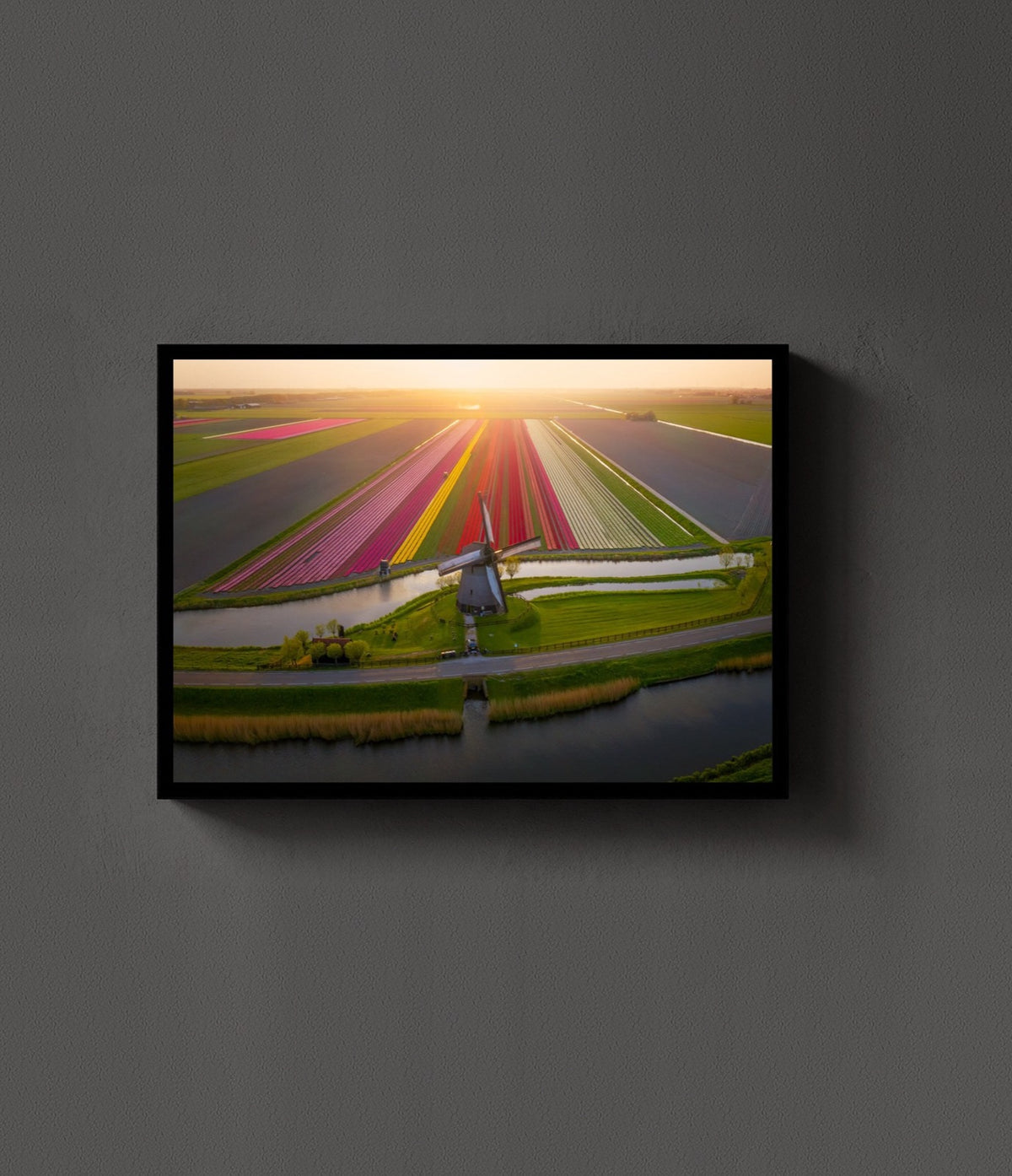 The Classic Tulip Field lijst