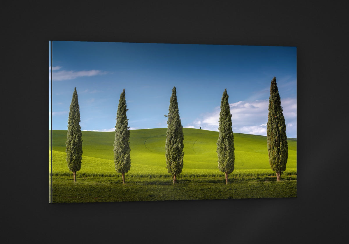 The Cypress Line acryl