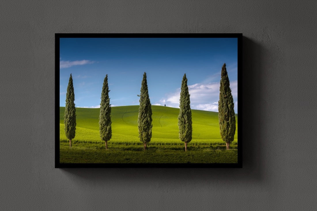The Cypress Line lijst