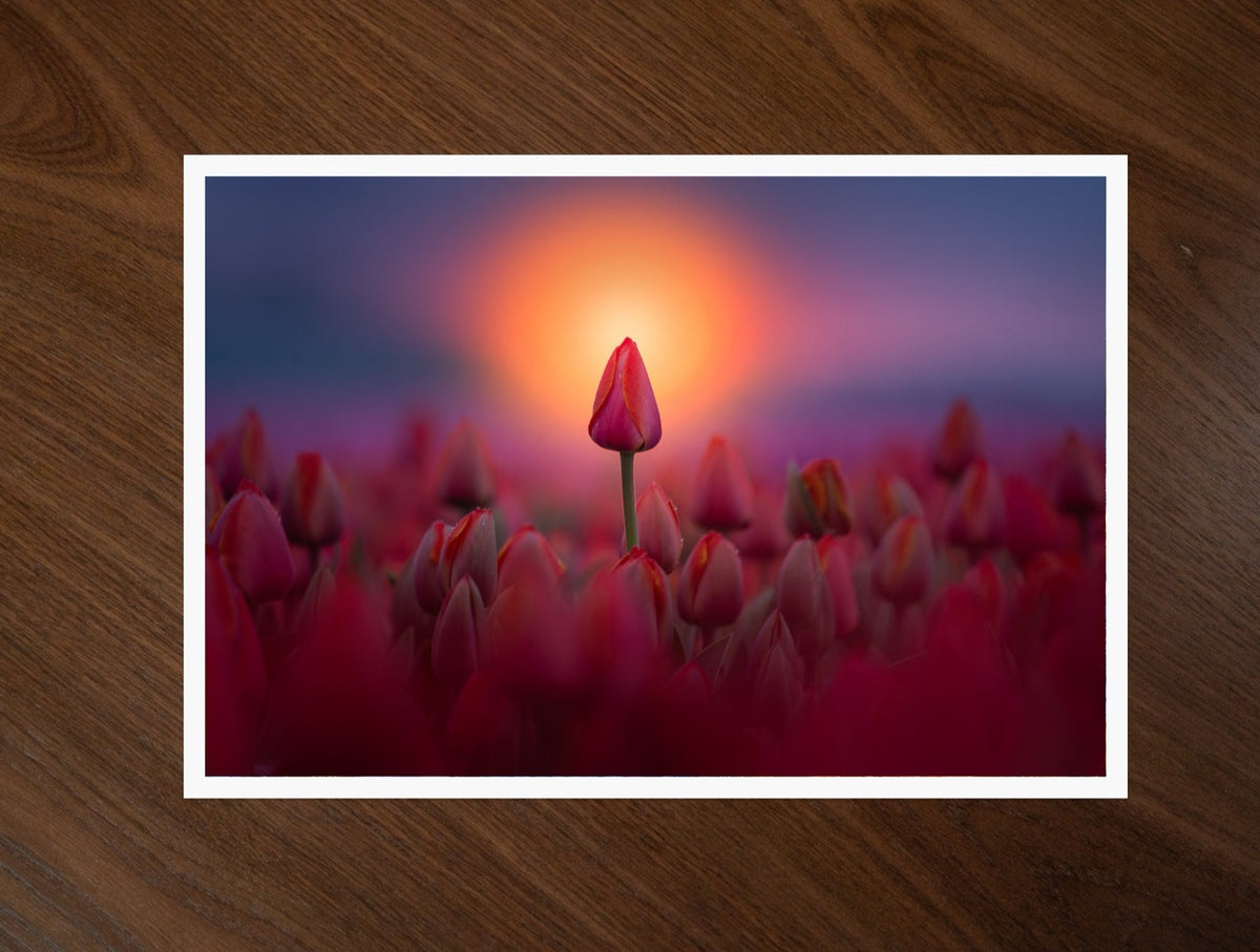 The Different One print