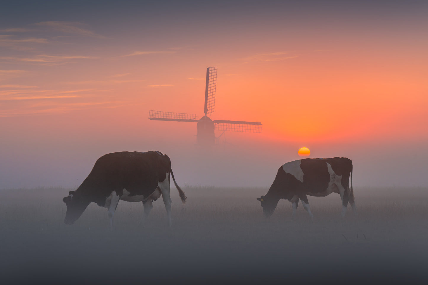 The Dutch Classic