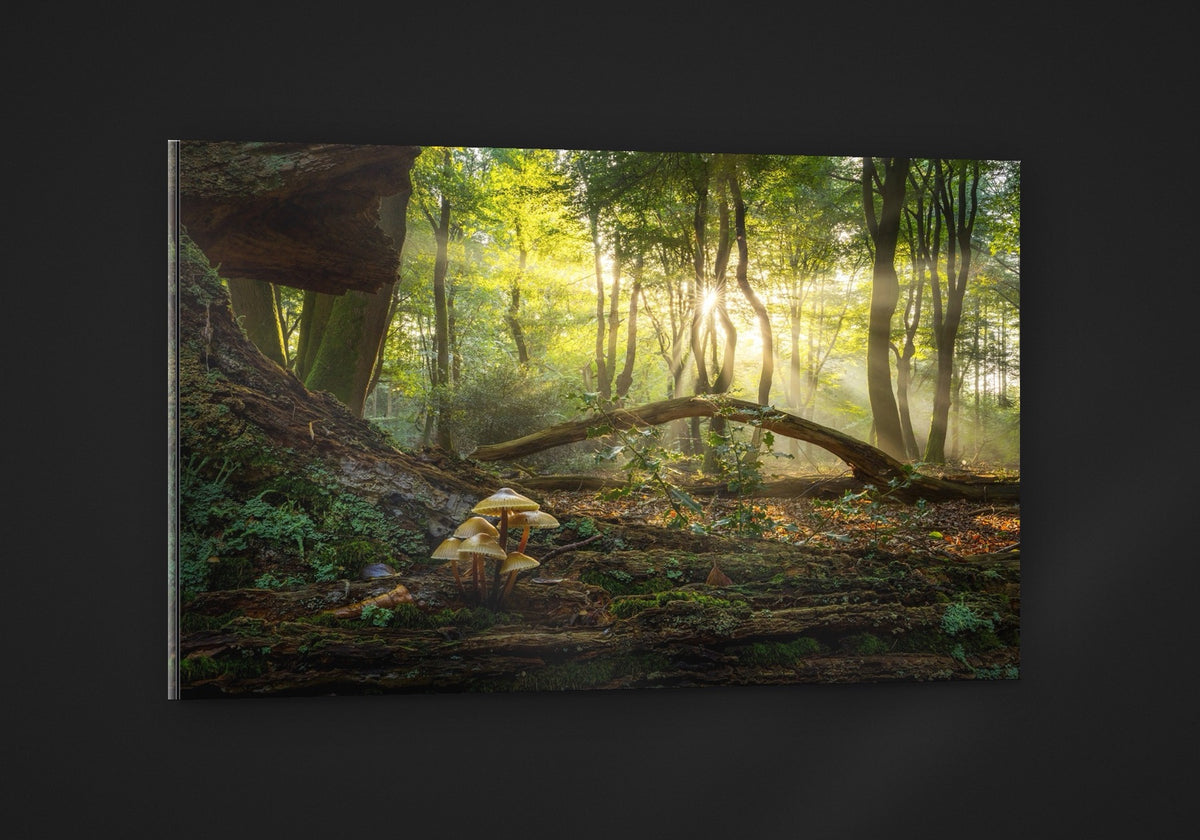 The Fallen Arch acryl