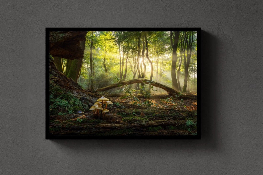 The Fallen Arch lijst