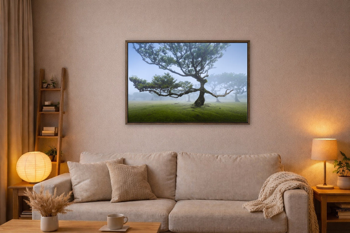 The Fanal Tree lijst kamer