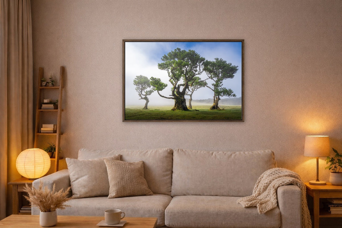 The Fanal Trio lijst kamer