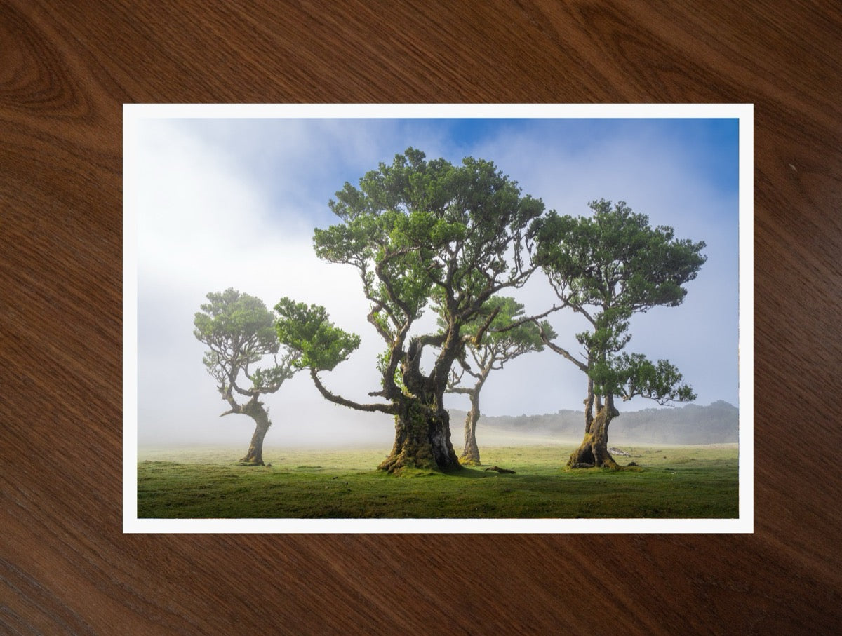 The Fanal Trio print
