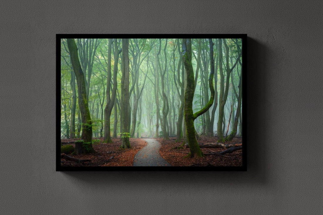 The Forest Path lijst