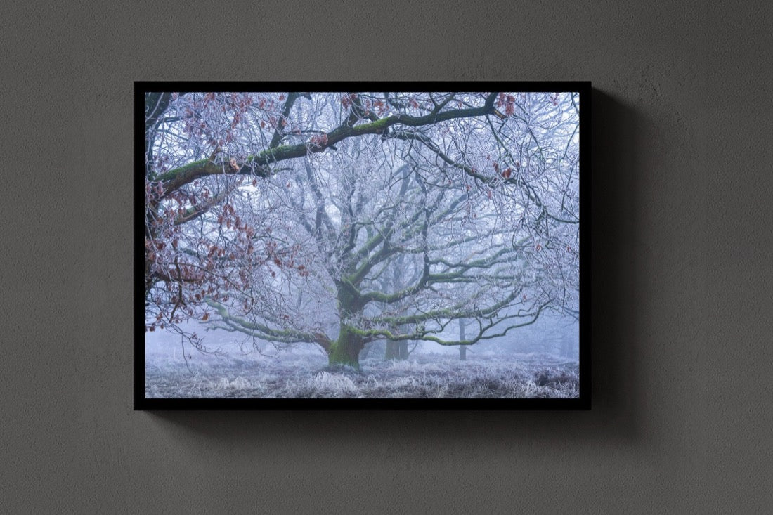 The Frosted Oak lijst