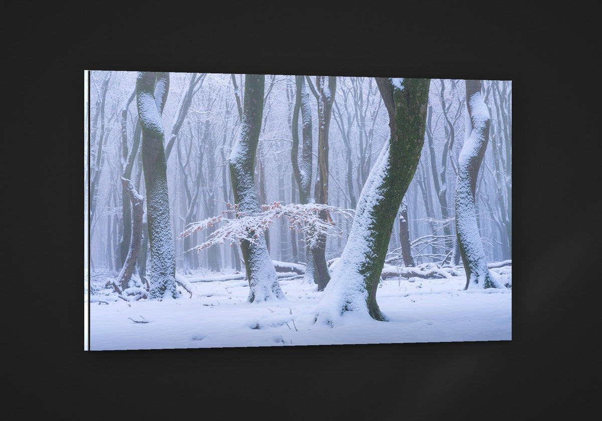 The Frozen Forest acryl