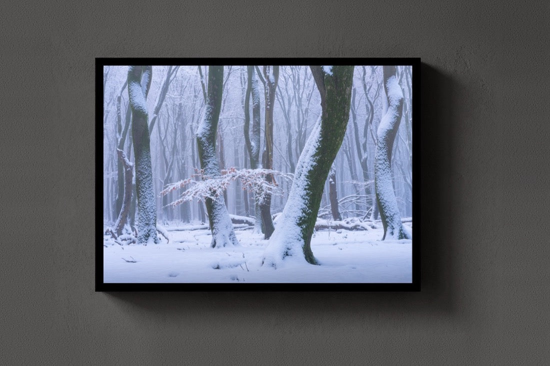 The Frozen Forest lijst