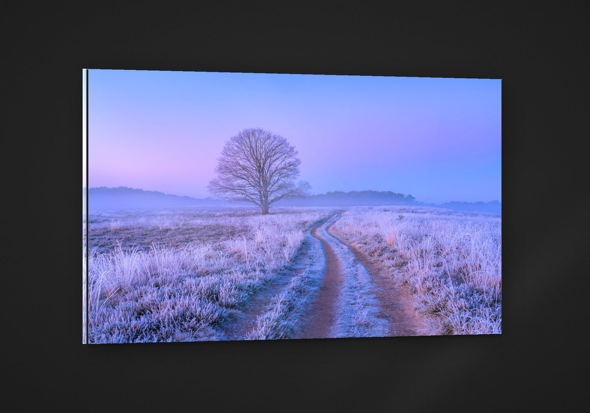 The Frozen Track acryl