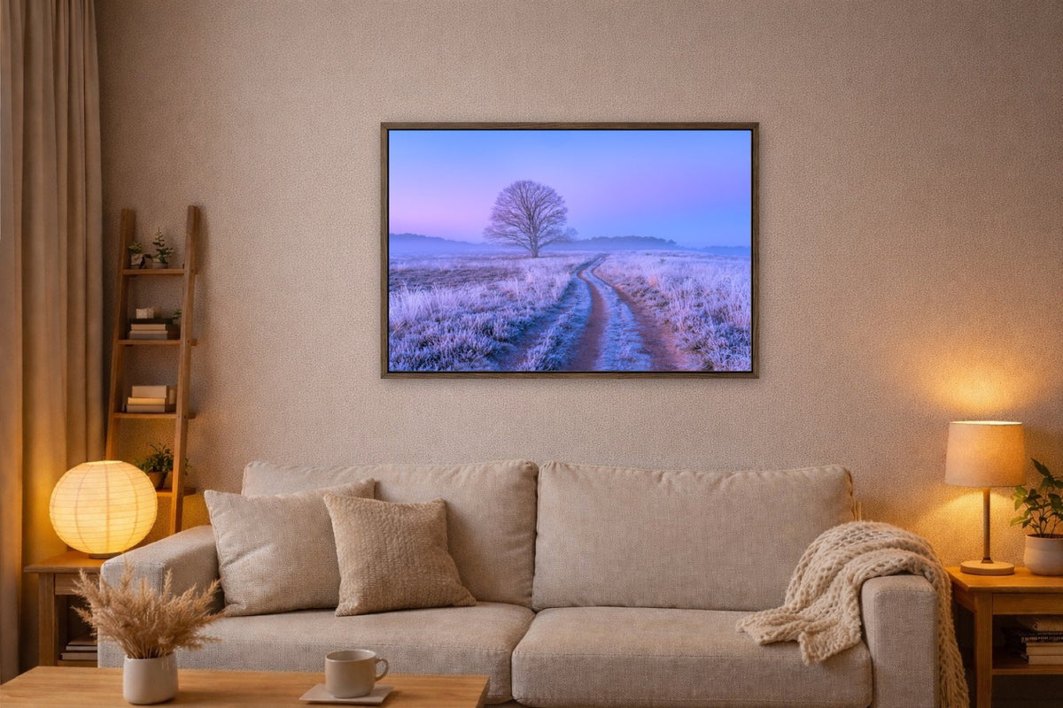 The Frozen Track lijst kamer