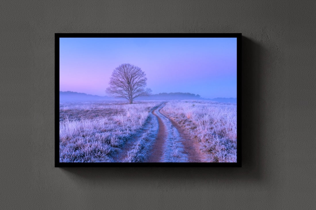 The Frozen Track lijst