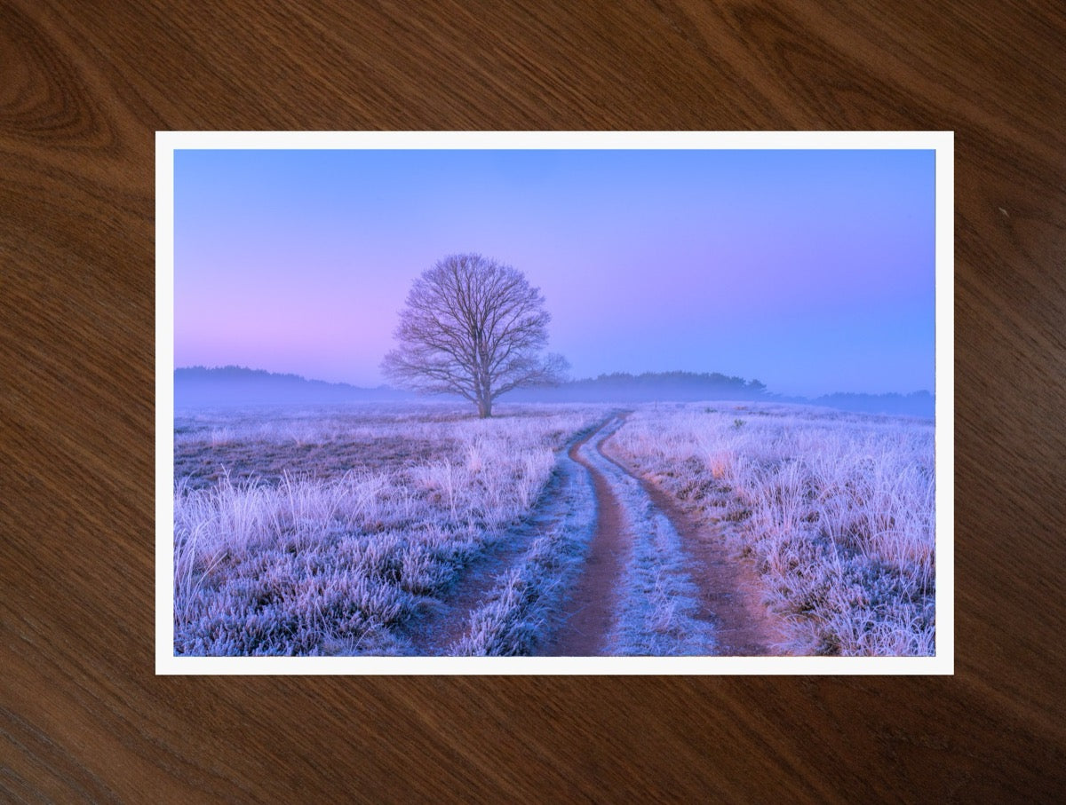 The Frozen Track print