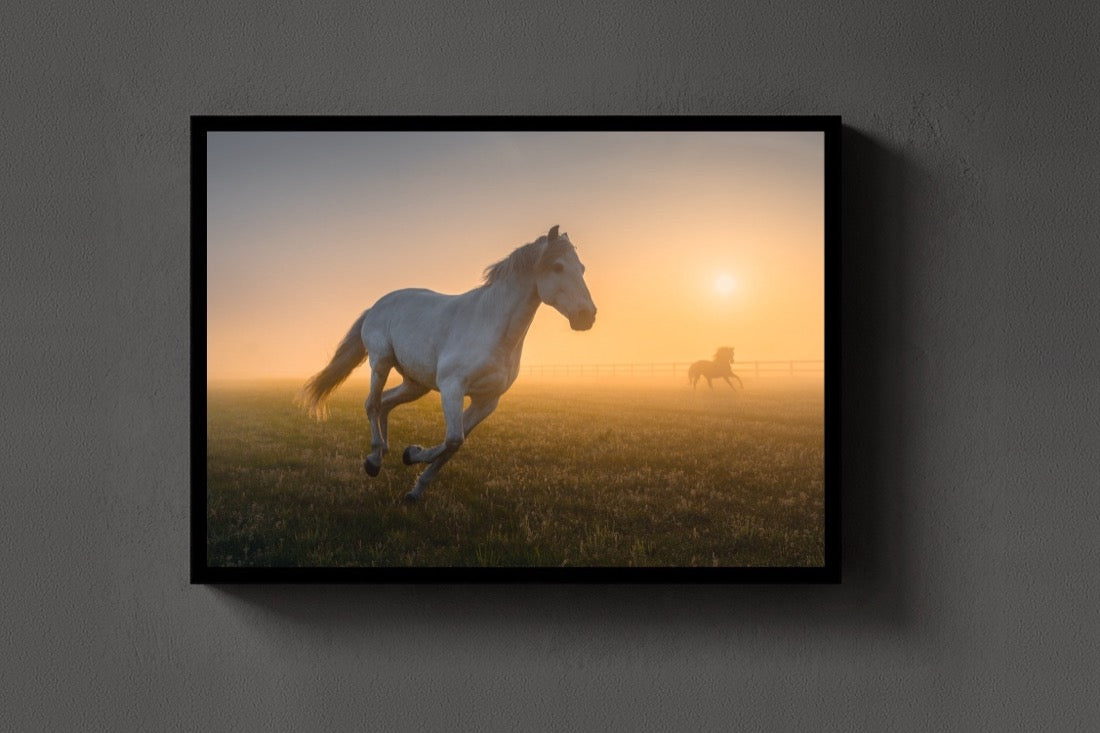 The Gallop lijst