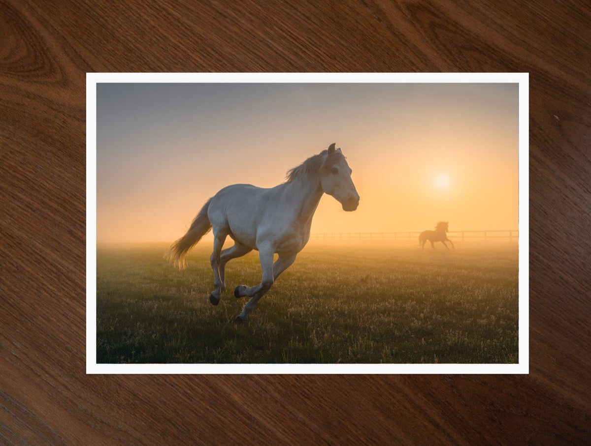 The Gallop print