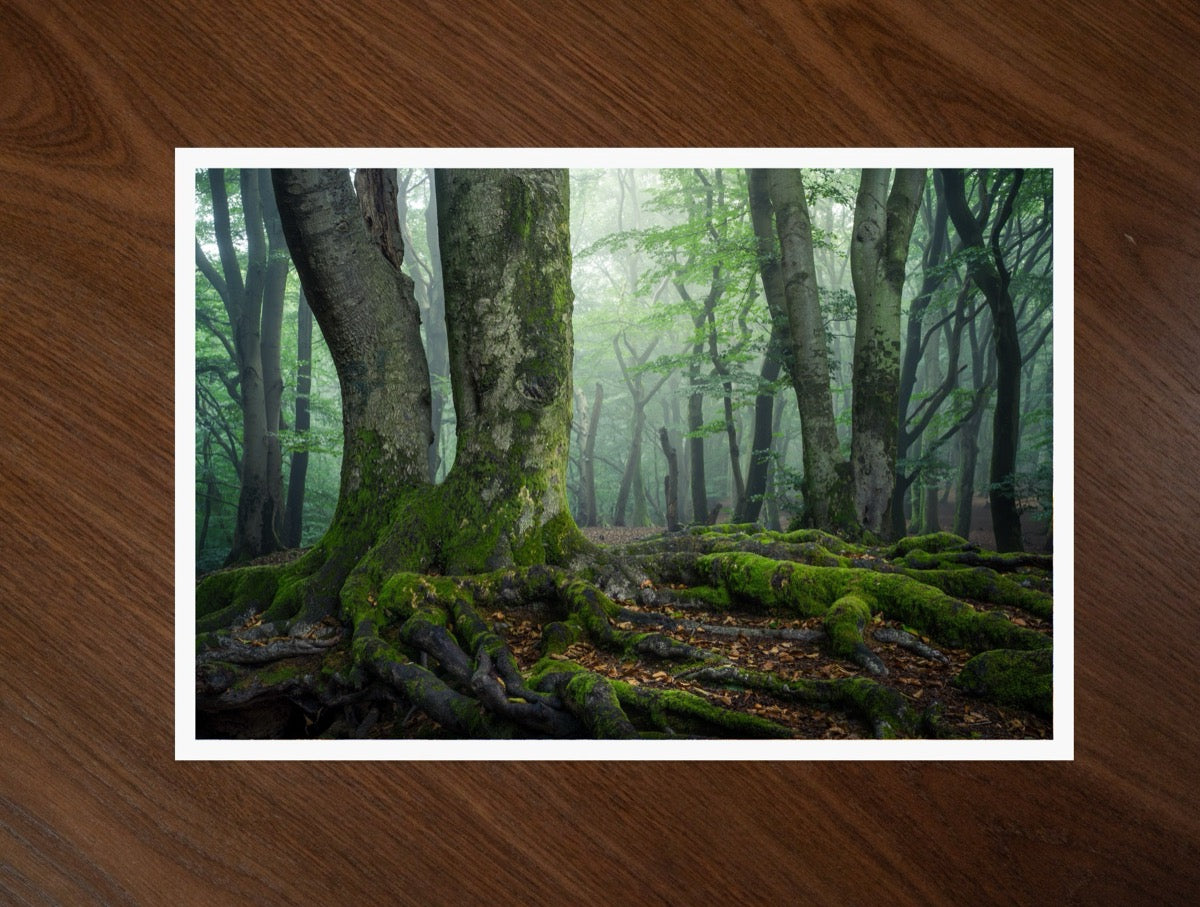 The Green Giants print