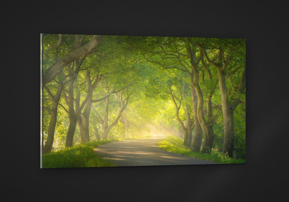 The Green Tunnel acryl