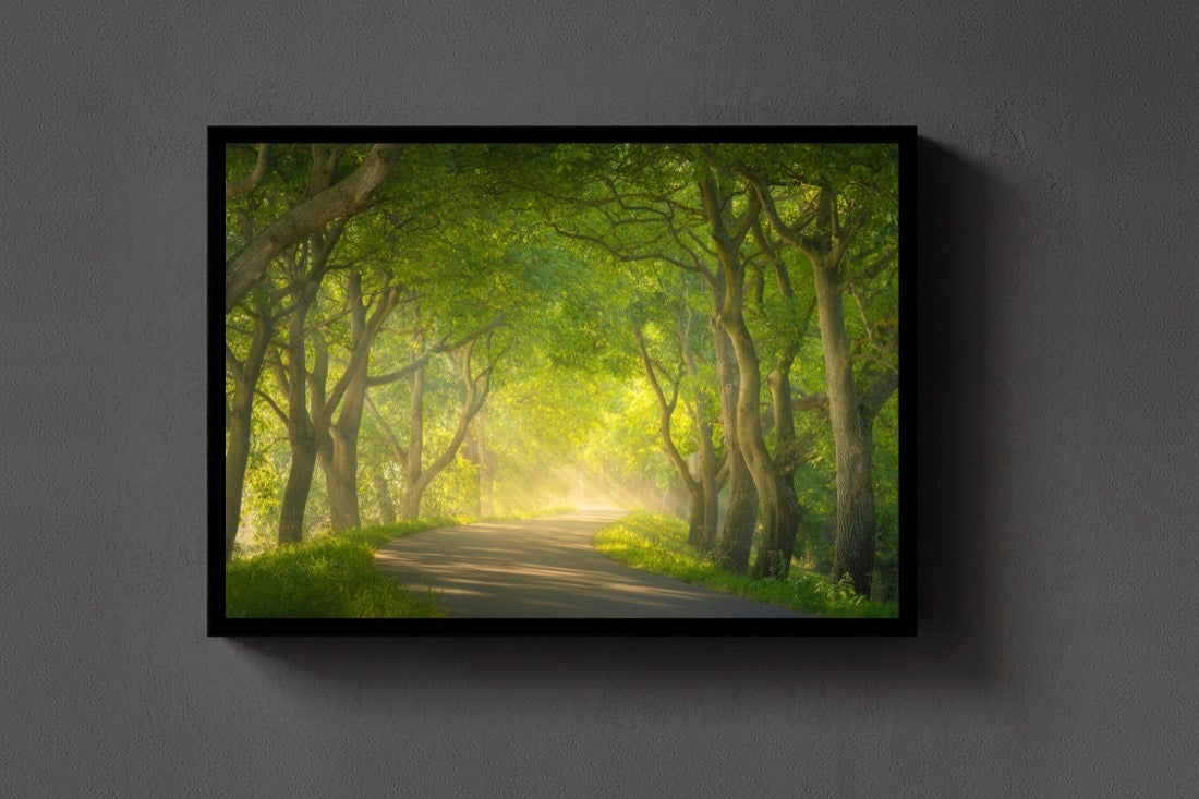 The Green Tunnel lijst
