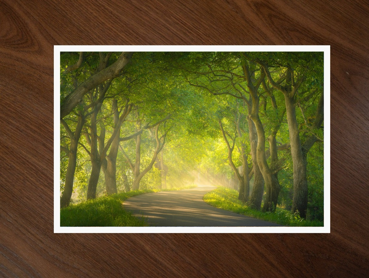 The Green Tunnel print