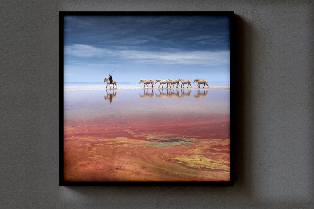 The Horse Herder print