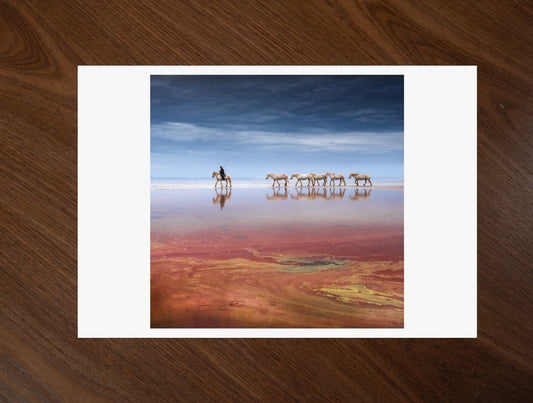 The Horse Herder print