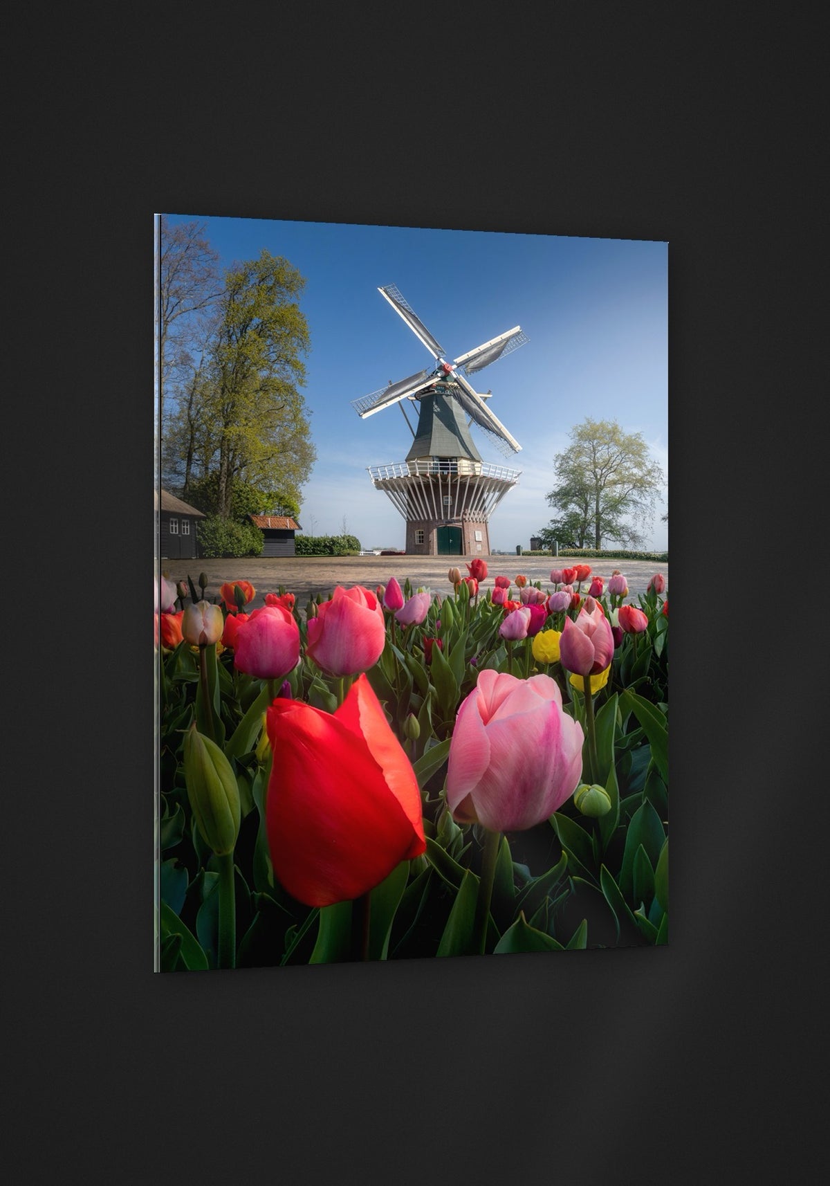 The Keukenhof Mill acryl