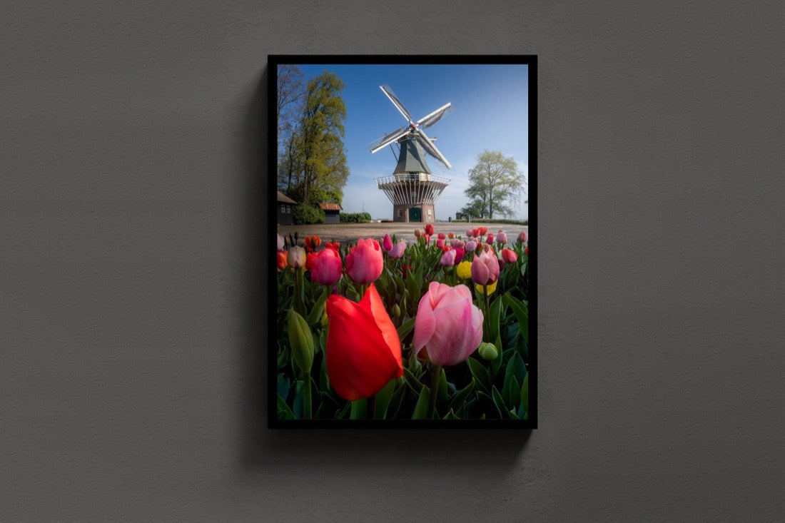 The Keukenhof Mill lijst