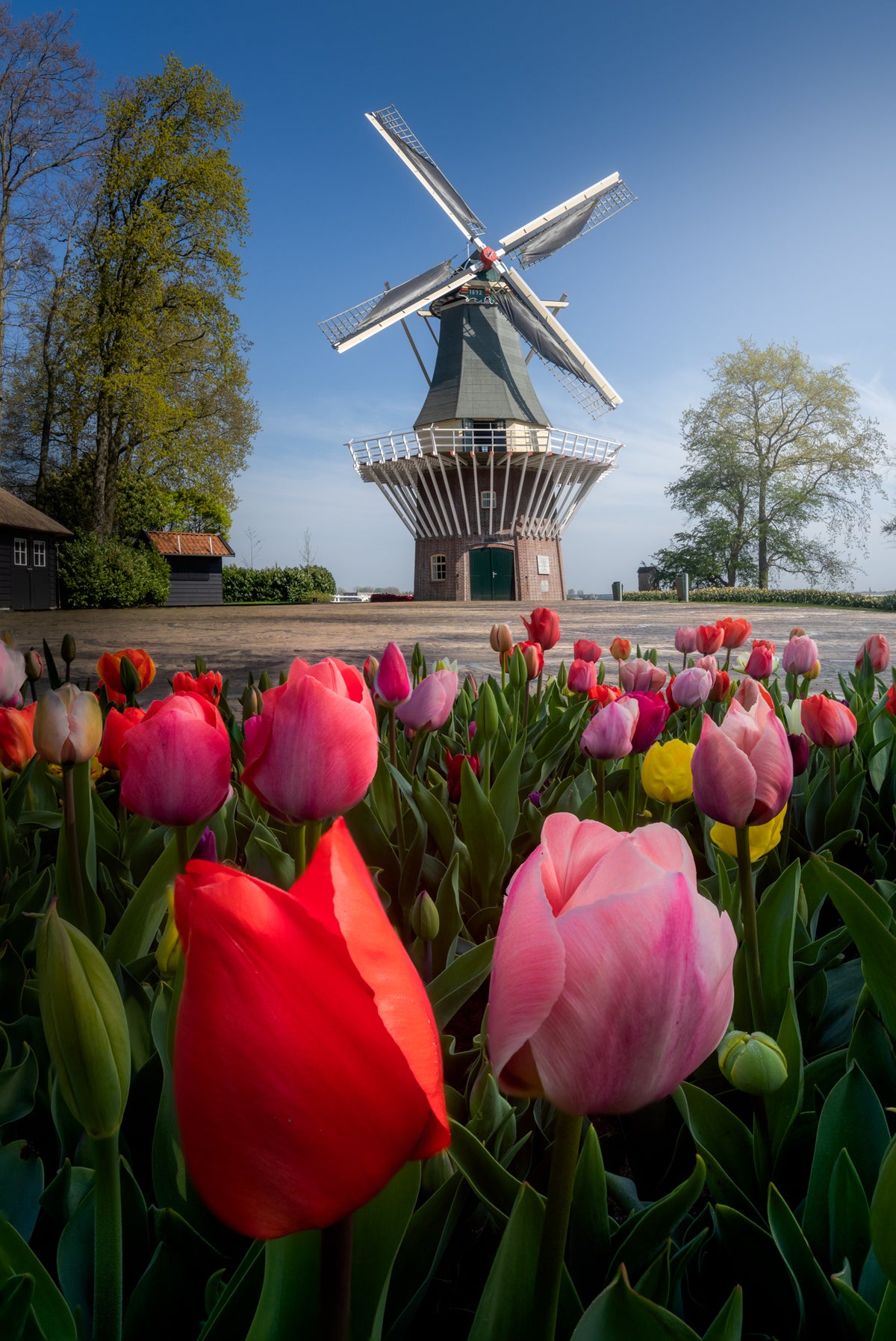 The Keukenhof Mill