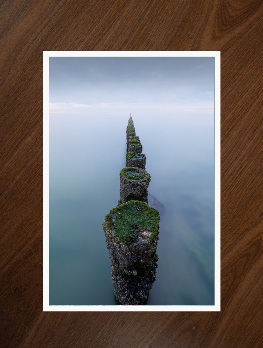 The Last Pole print