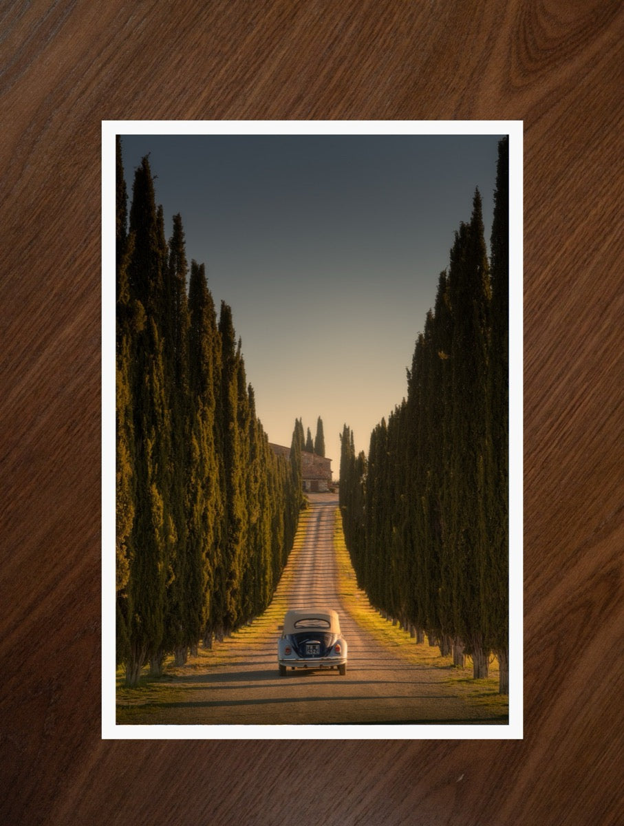 The Long Drive print