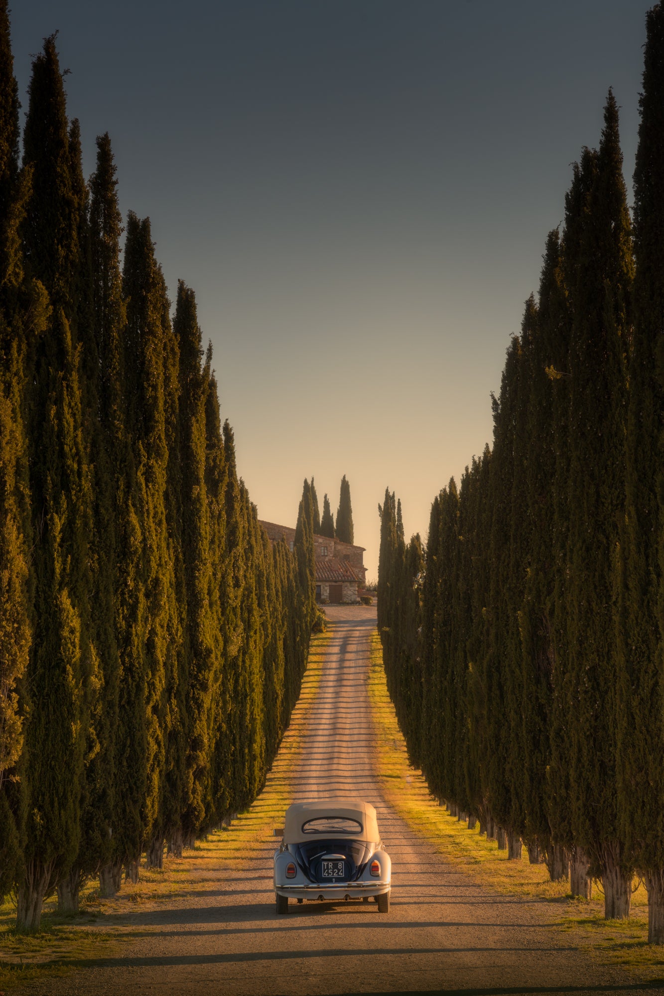 The Long Drive
