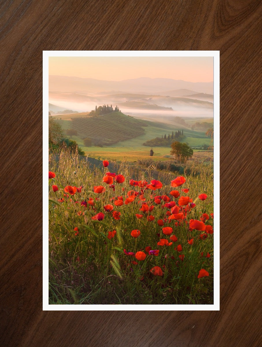 The Magic of Tuscany print