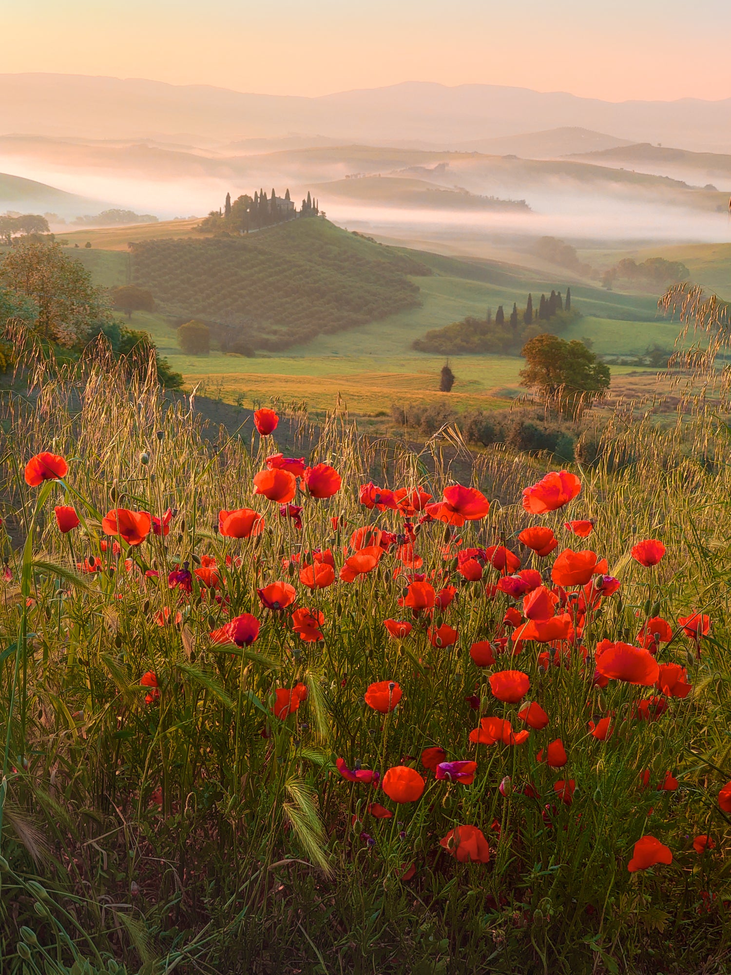The Magic of Tuscany