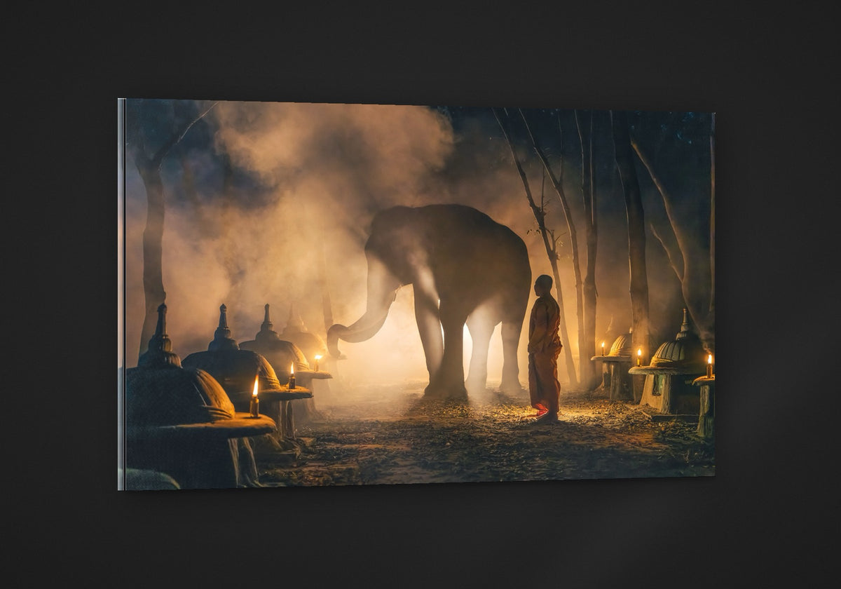 The Monk and the Elephant acryl