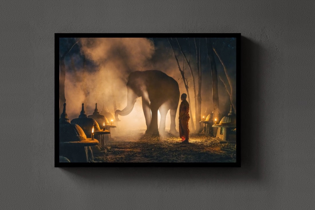 The Monk and the Elephant lijst