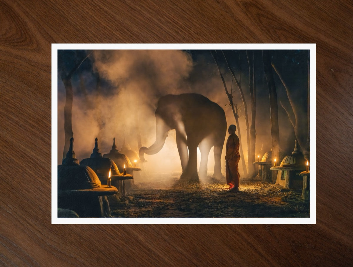 The Monk and the Elephant print