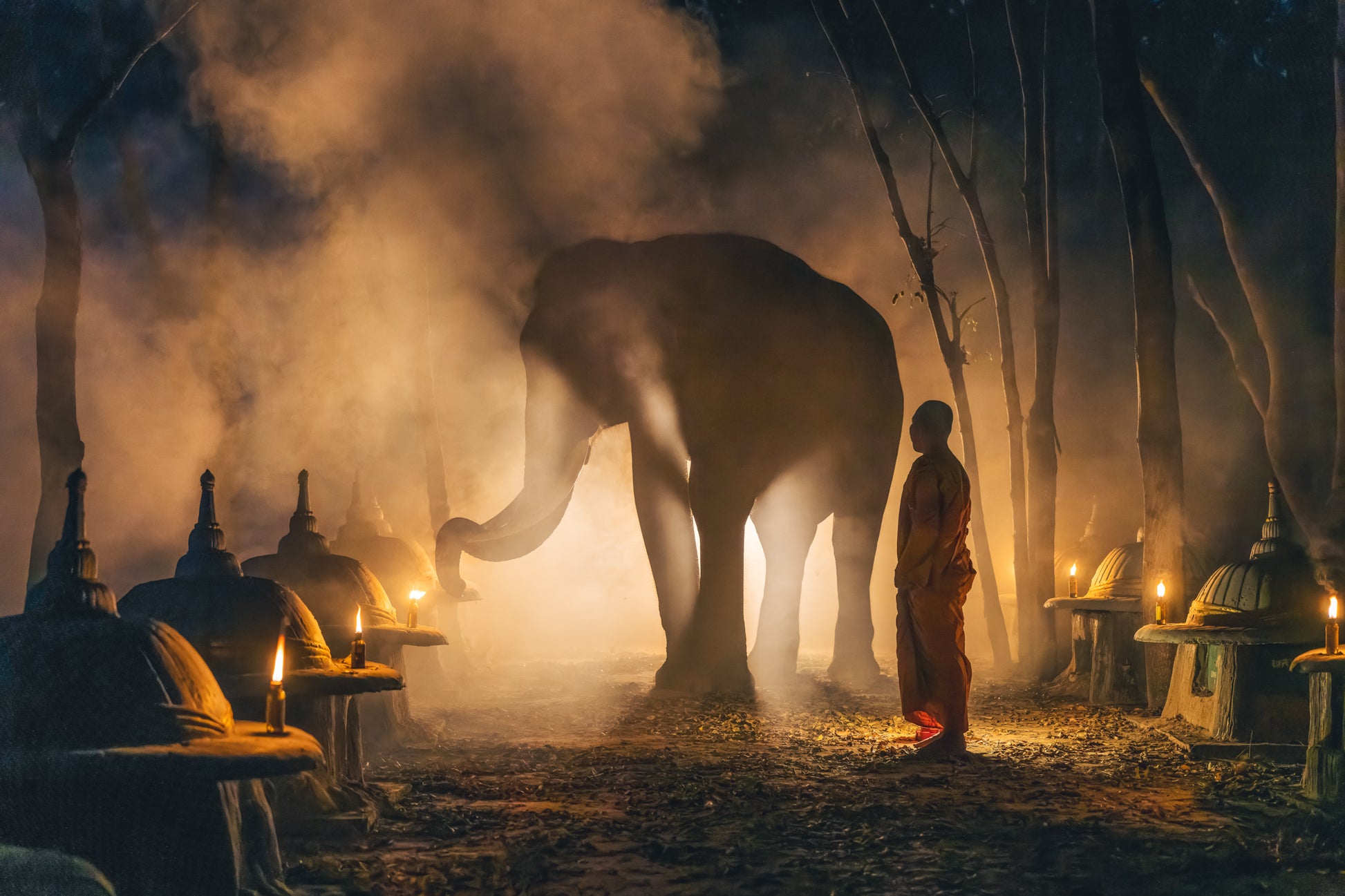 The Monk and the Elephant
