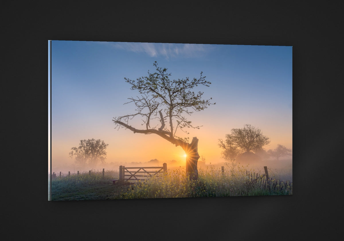 The Morning Gate acryl