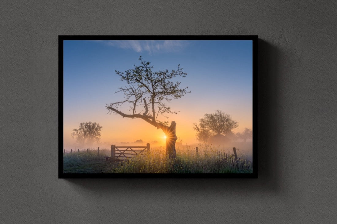 The Morning Gate lijst