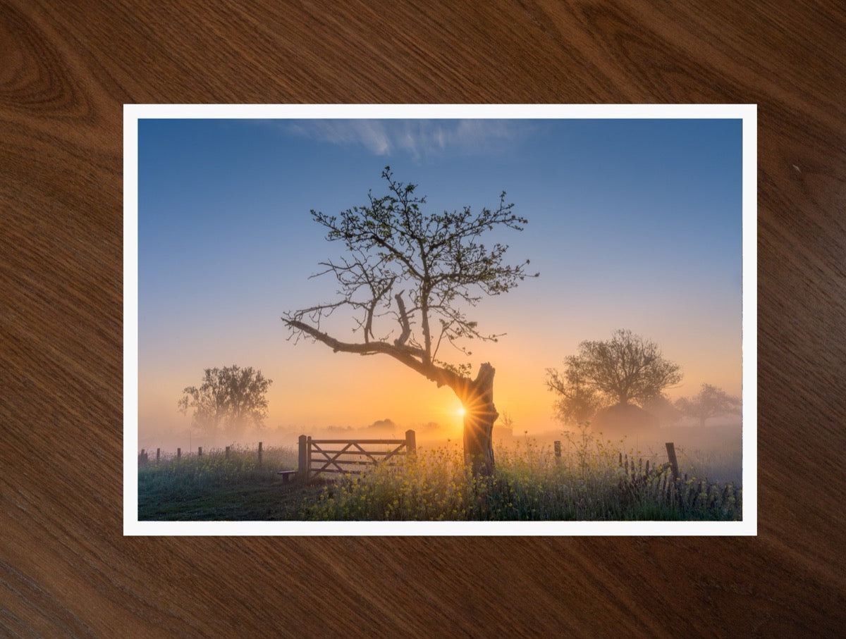 The Morning Gate print