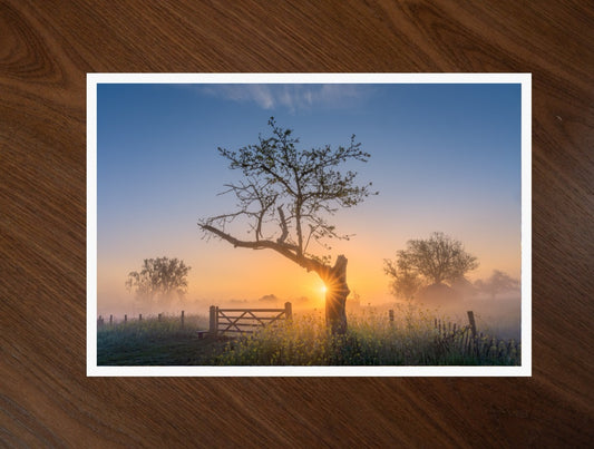 The Morning Gate print