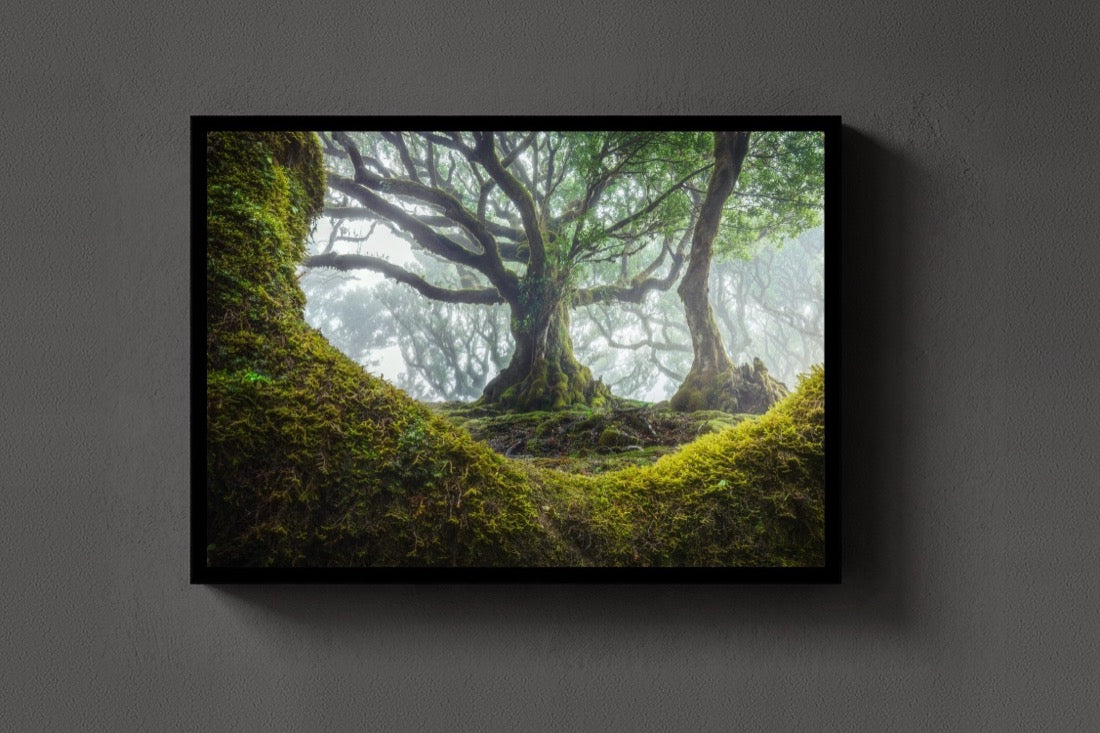 The Moss Cradle lijst