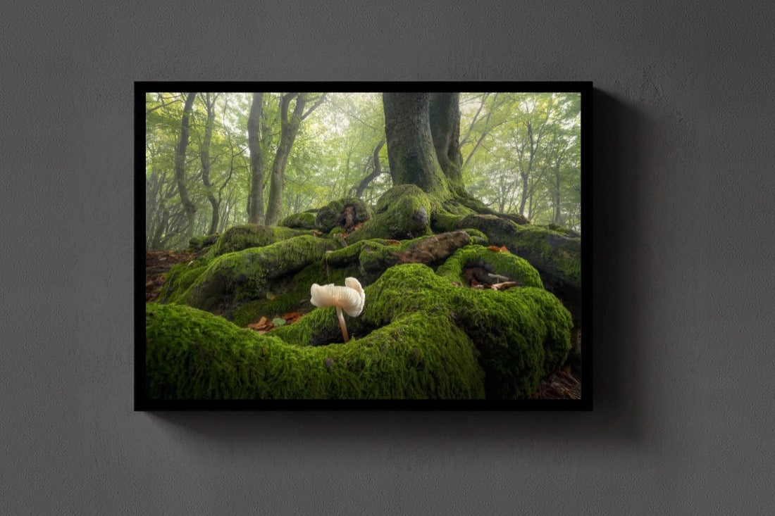 The Moss Garden lijst