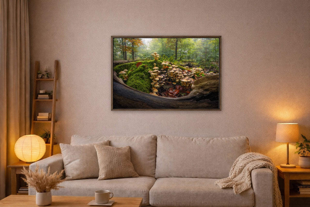 The Mossy Kingdom lijst kamer