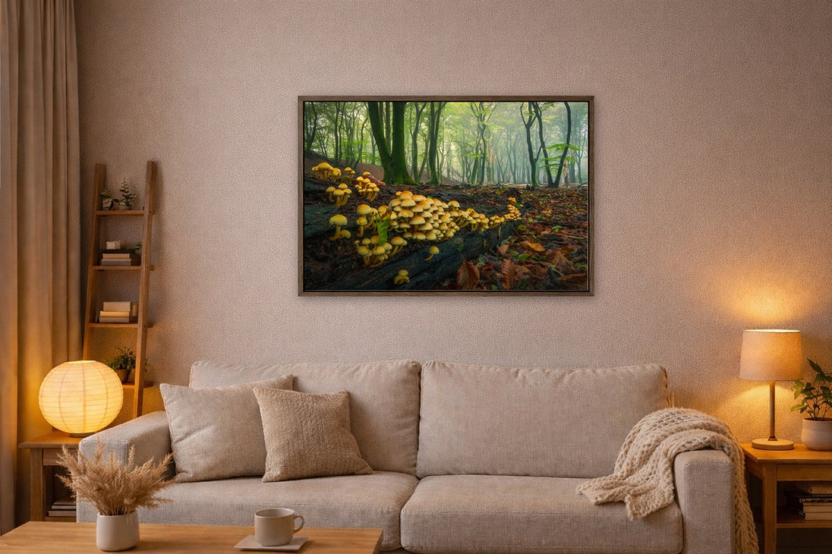 The Mushroom Colony lijst kamer
