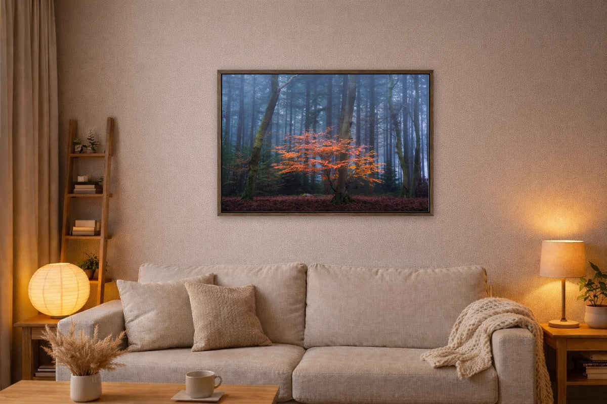 The Orange Touch lijst kamer