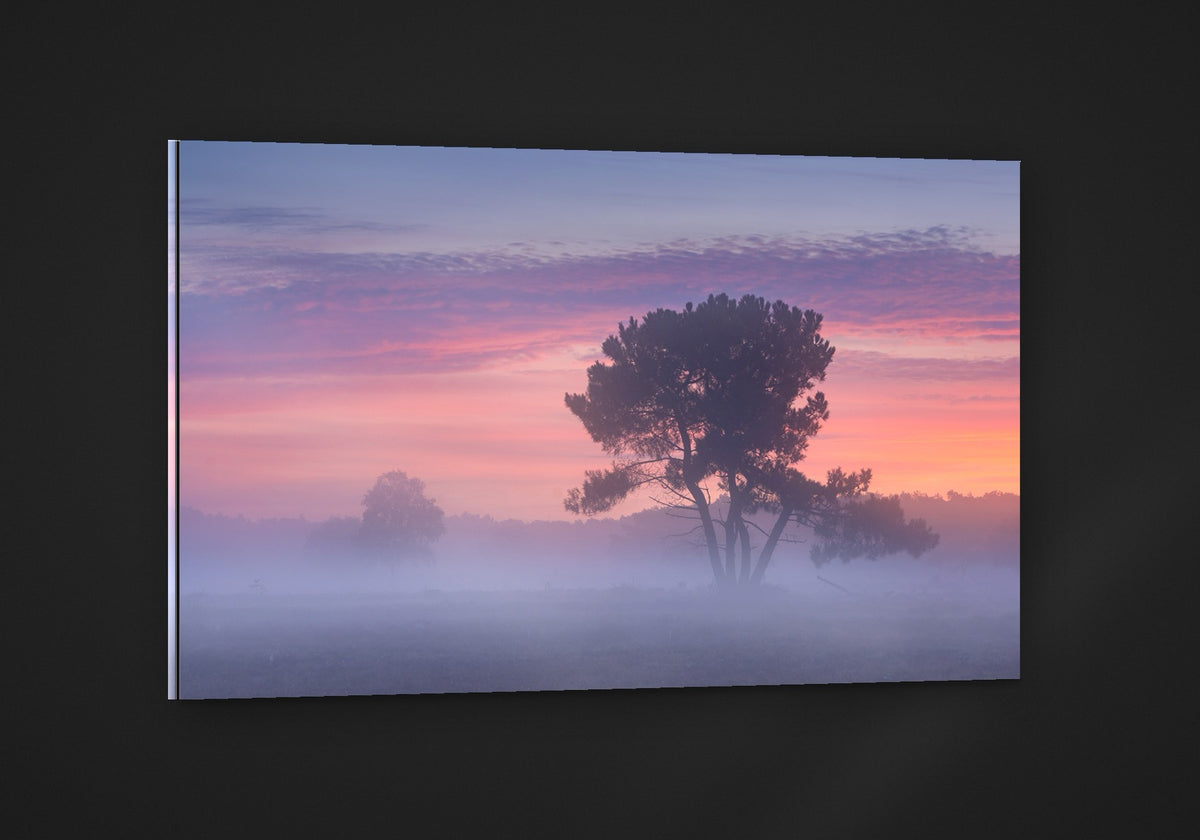 The Pastel Tree acryl