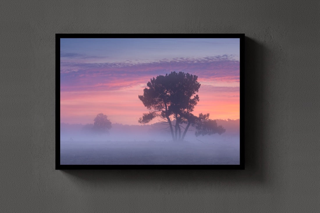 The Pastel Tree lijst