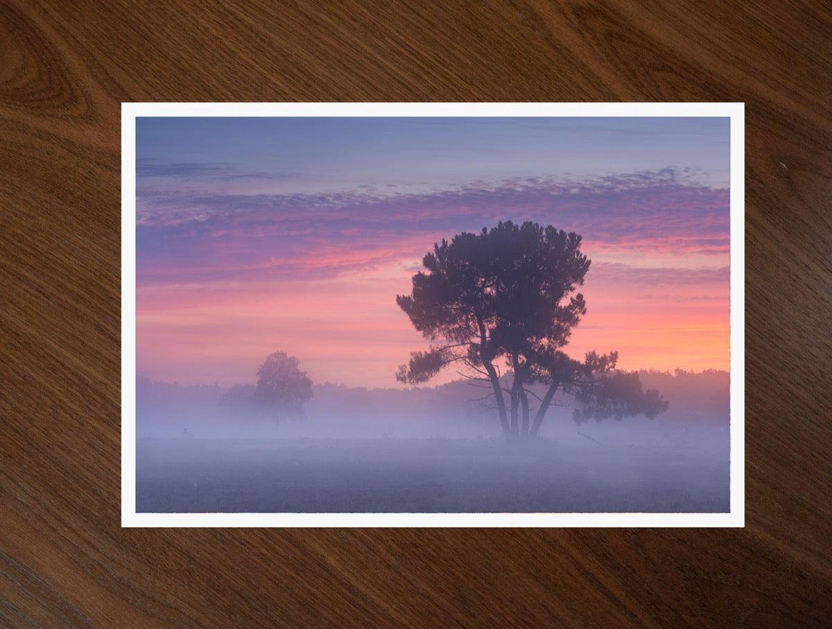 The Pastel Tree print